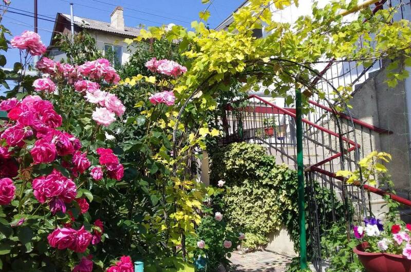 Изображение Изображение квартиры &quot;Комната у моря&quot; #6 #6