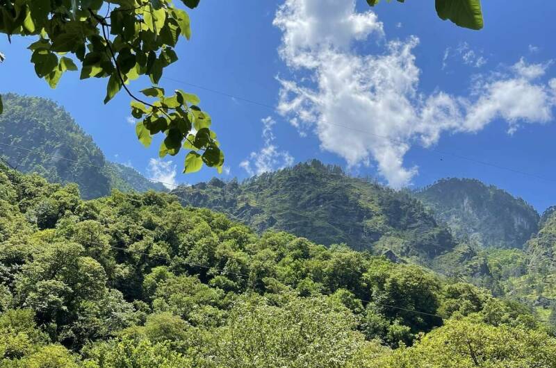 Изображение Изображение гостиницы &quot;Гостевой дом в уютном месте&quot; #2 #2