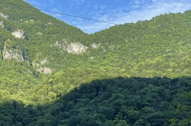 Изображение Изображение гостиницы &quot;Гостевой дом в уютном месте&quot; #3 #3