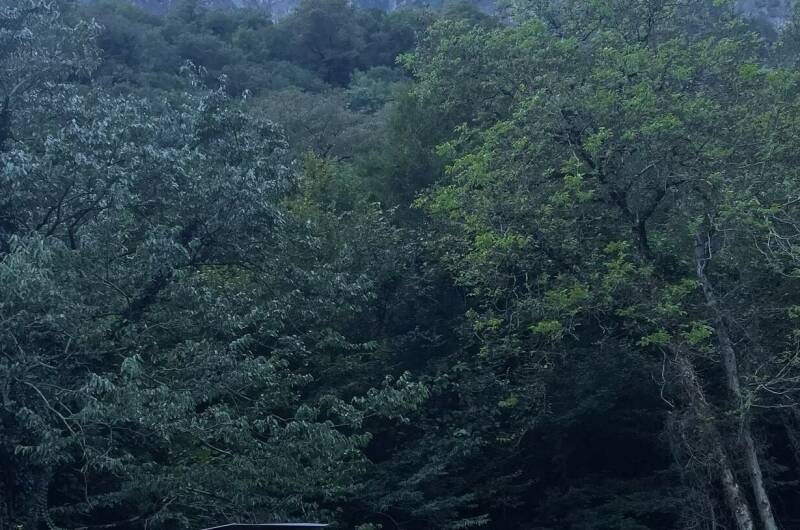 Изображение Изображение гостиницы &quot;Гостевой дом в уютном месте&quot; #4 #4