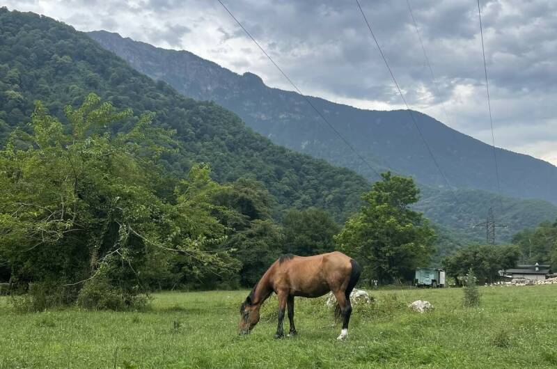 Изображение Изображение отеля / гостиницы "Гостевой дом в уютном месте" #11 #9