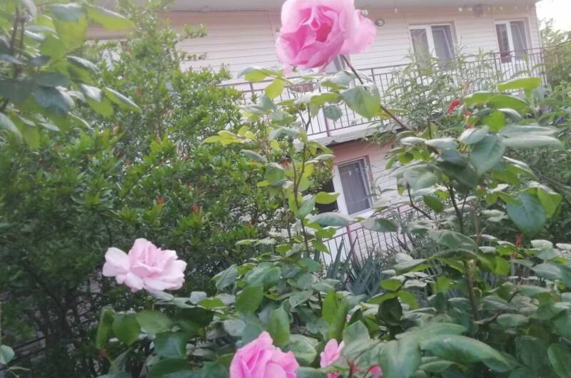 Изображение Изображение гостиницы "Гостевой дом «У Людмилы»" #5 #5