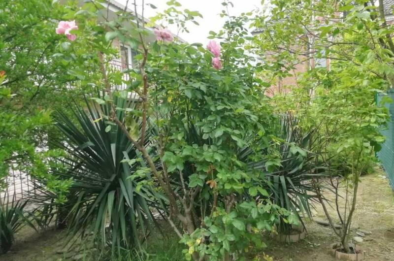 Изображение Изображение гостиницы "Гостевой дом «У Людмилы»" #7 #7