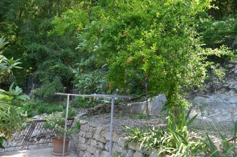 Изображение Изображение гостиницы &quot;Гостевой дом «Дом с флагом»&quot; #6 #6