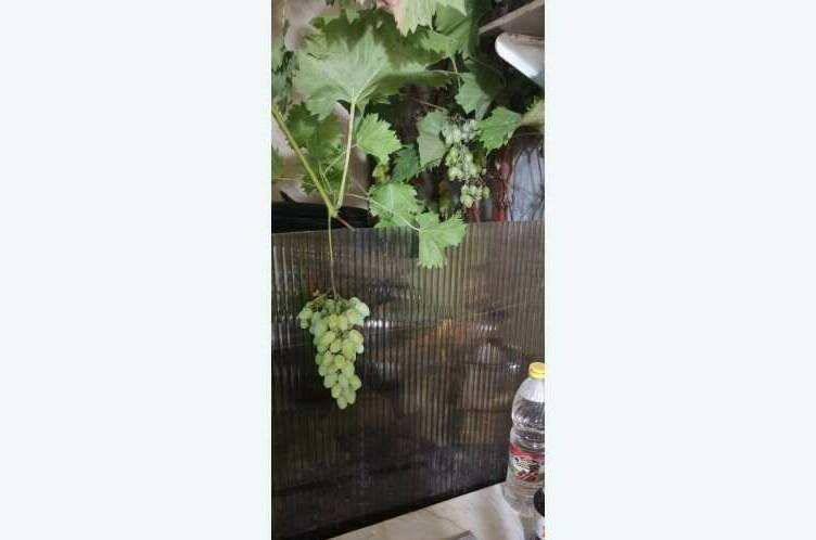 Изображение Изображение гостиницы &quot;Гостевой дом «Семейный»&quot; #4 #4