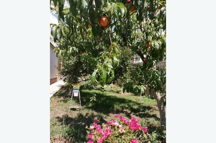 Изображение Изображение гостиницы &quot;Гостевой дом «Семейный»&quot; #6 #6