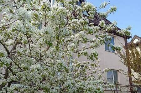 Изображение Изображение гостиницы &quot;Гостевой дом «ЛюбоМорье»&quot; #5 #5