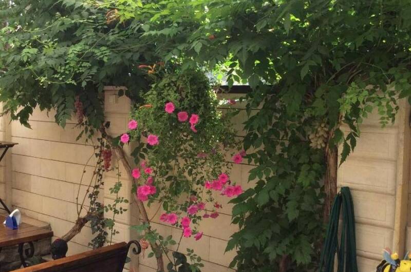 Изображение Изображение гостиницы &quot;Отель «Тоскана»&quot; #2 #2