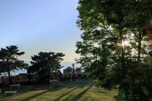 Изображение Гостевой дом «Белый Дельфин» #6