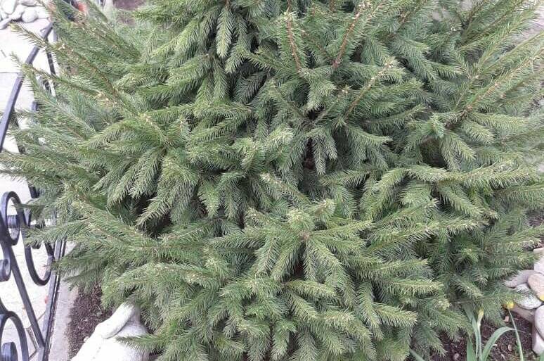 Изображение Изображение квартиры &quot;Дом под ключ «На Ясенской»&quot; #3 #3