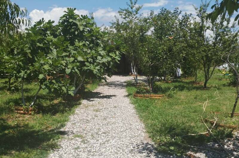 Изображение Изображение гостиницы "Частный сектор «У Отара»" #7 #7