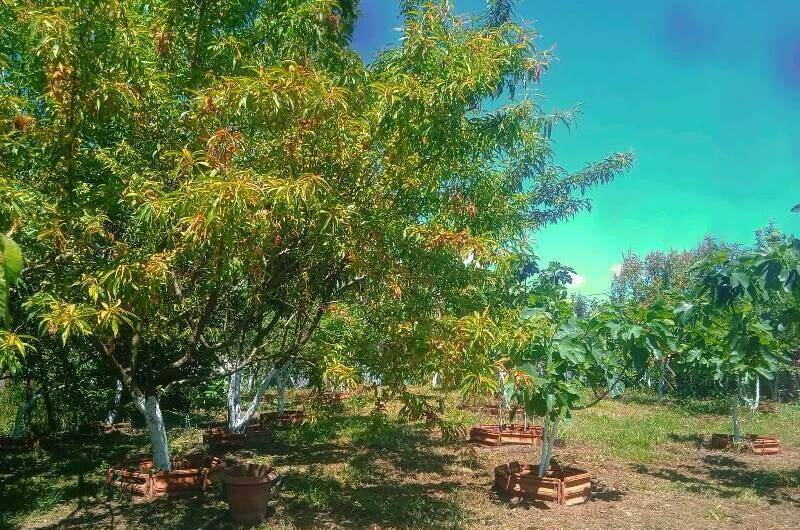 Изображение Изображение отеля / гостиницы "Частный сектор «У Отара»" #11 #9