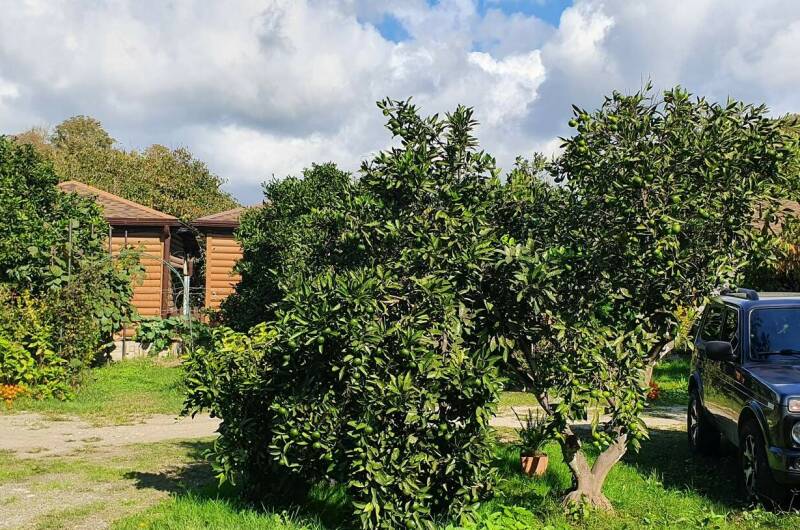 Изображение Изображение гостиницы &quot;Гостевой дом «Золотые Пески»&quot; #5 #5