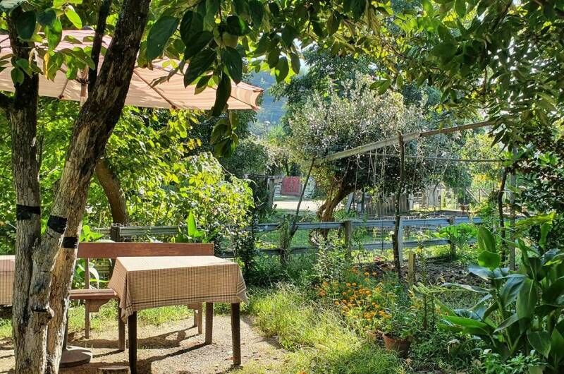 Изображение Изображение гостиницы &quot;Гостевой дом «Золотые Пески»&quot; #8 #8