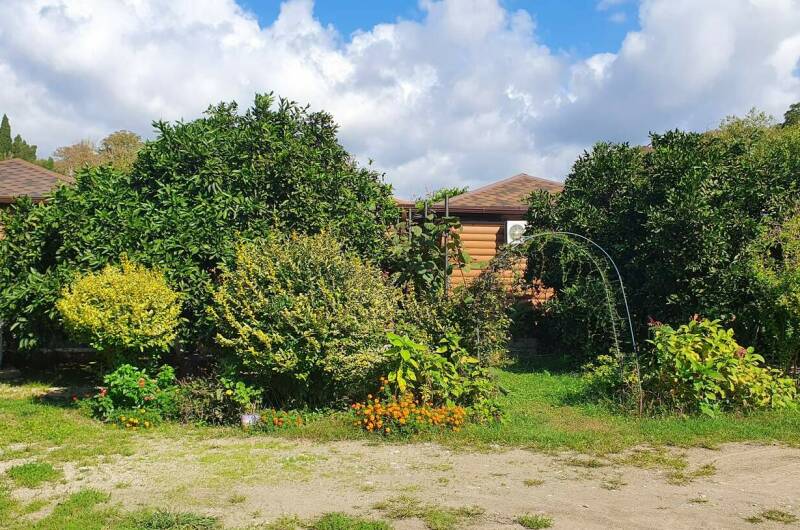 Изображение Изображение отеля / гостиницы "Гостевой дом «Золотые Пески»" #10 #8