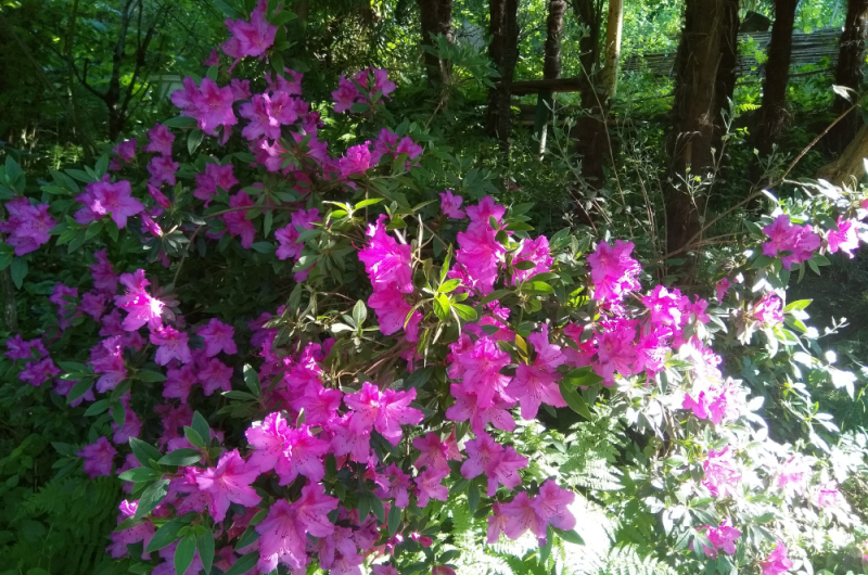 Изображение Изображение гостиницы "Пансионат «Семейный»" #2 #2