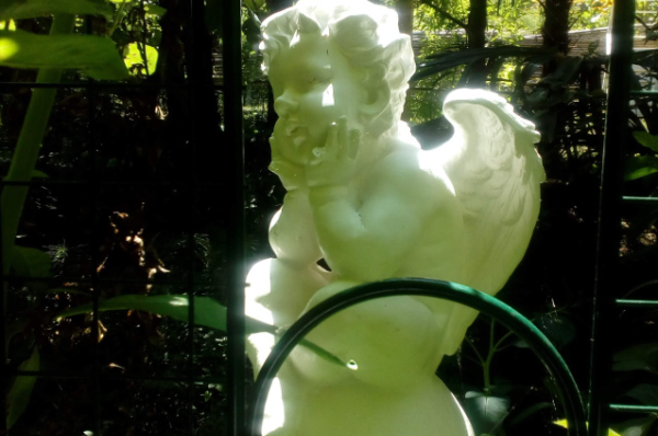 Изображение Изображение гостиницы "Пансионат «Семейный»" #4 #4