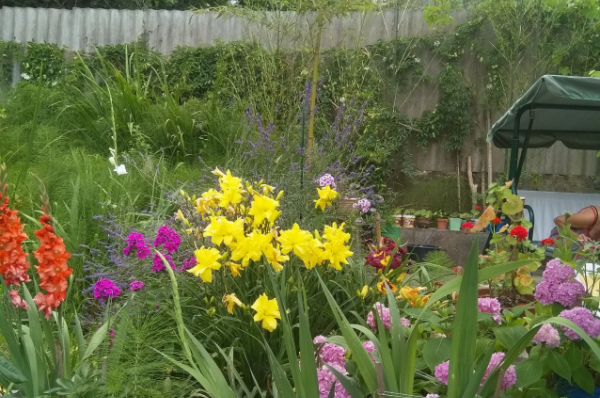 Изображение Изображение гостиницы "Пансионат «Семейный»" #7 #7