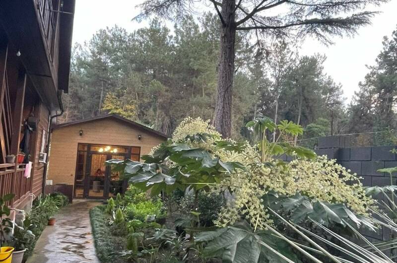 Изображение Изображение гостиницы &quot;Гостевой дом «House 9»&quot; #4 #4