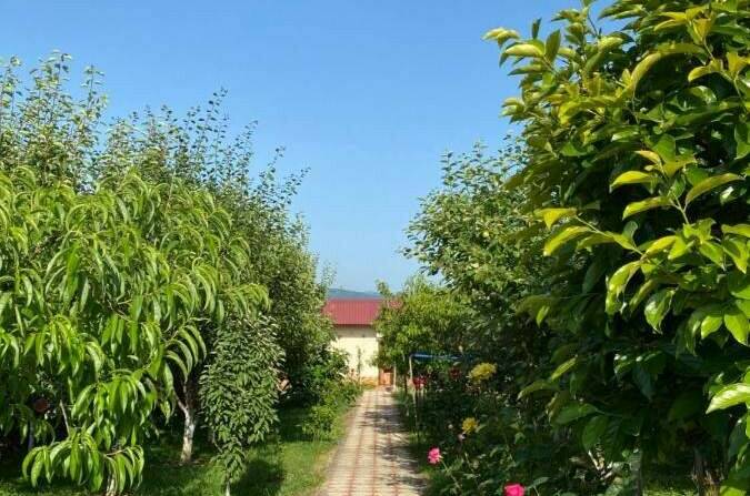 Изображение Изображение гостиницы "Гостевой дом «У Валентины»" #5 #5