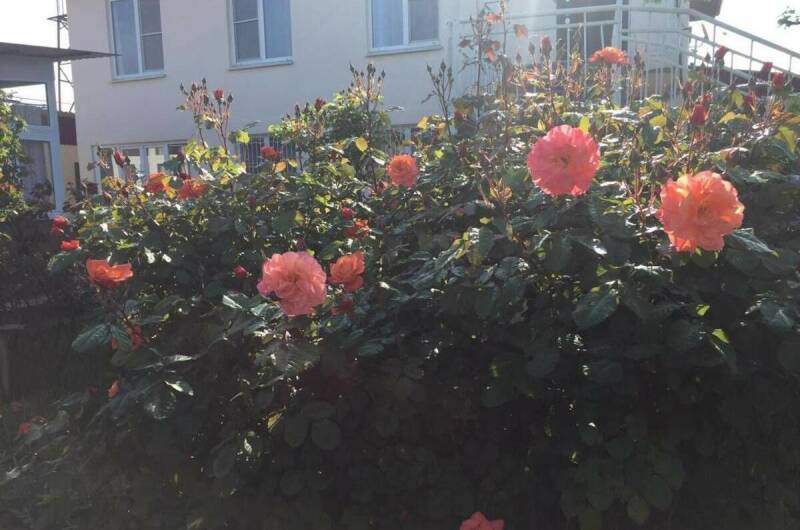 Изображение Изображение гостиницы "Гостевой дом «У Валентины»" #7 #7