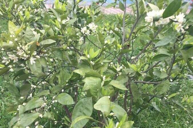 Изображение Изображение отеля / гостиницы "Гостевой дом «У Валентины»" #10 #8