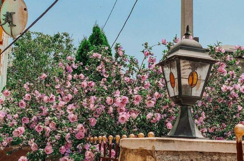 Изображение Изображение гостиницы &quot;Гостевой дом «Винтаж»&quot; #6 #6