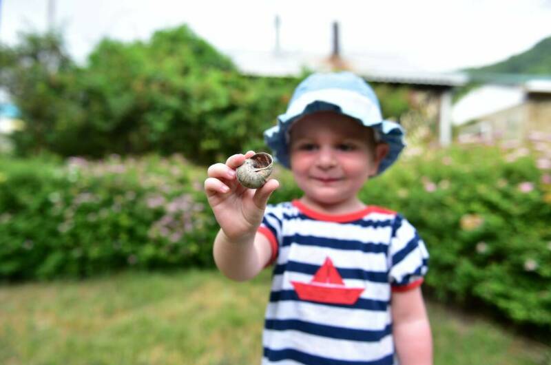 Изображение Изображение гостиницы "Бард-отель «Алые Паруса»" #6 #6