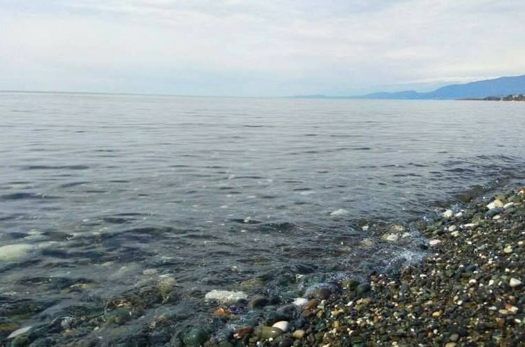 Изображение Изображение гостиницы "Гостевой дом «Апельсин»" #4 #4