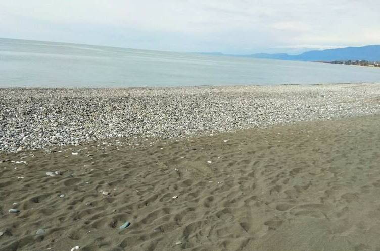 Изображение Изображение гостиницы "Гостевой дом «Апельсин»" #5 #5