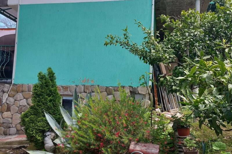 Изображение Изображение отеля / гостиницы "Частный сектор «Маленький рай»" #11 #9