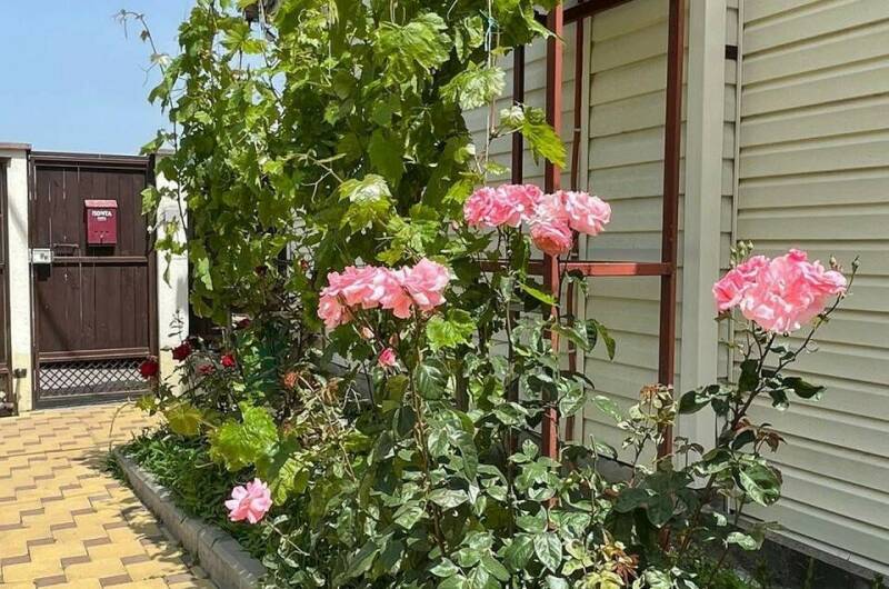 Изображение Изображение гостиницы "Гостевой дом «Капучино»" #7 #7