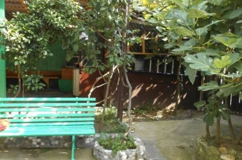 Изображение Изображение гостиницы "Гостевой дом «Камелия»" #3 #3