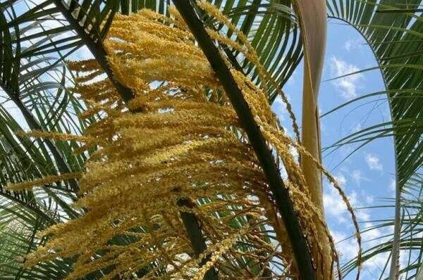 Изображение Изображение отеля / гостиницы "Гостевой дом «У Карины»" #11 #9