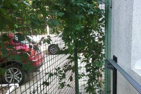 Изображение Изображение квартиры / апартамента "Апартаменты «Носорог»" #11 #9