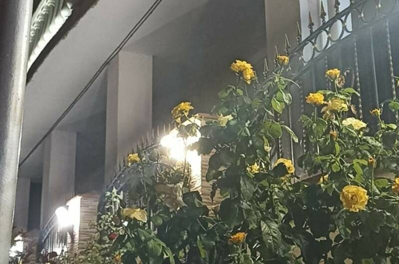 Изображение Изображение отеля / гостиницы "Гостевой дом «Купидон»" #11 #9