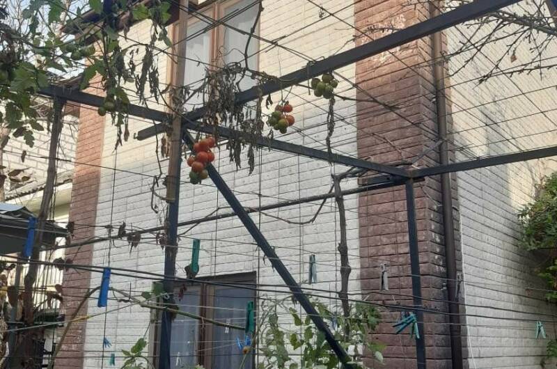 Изображение Изображение гостиницы &quot;Частный дом «У дяди Юры»&quot; #4 #4