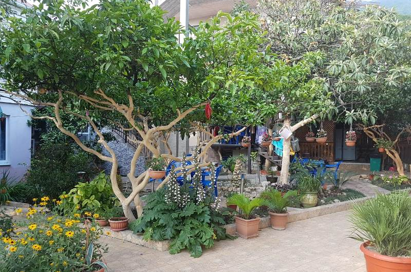 Изображение Изображение гостиницы "Гостевой дом «Уютный дворик»" #8 #8