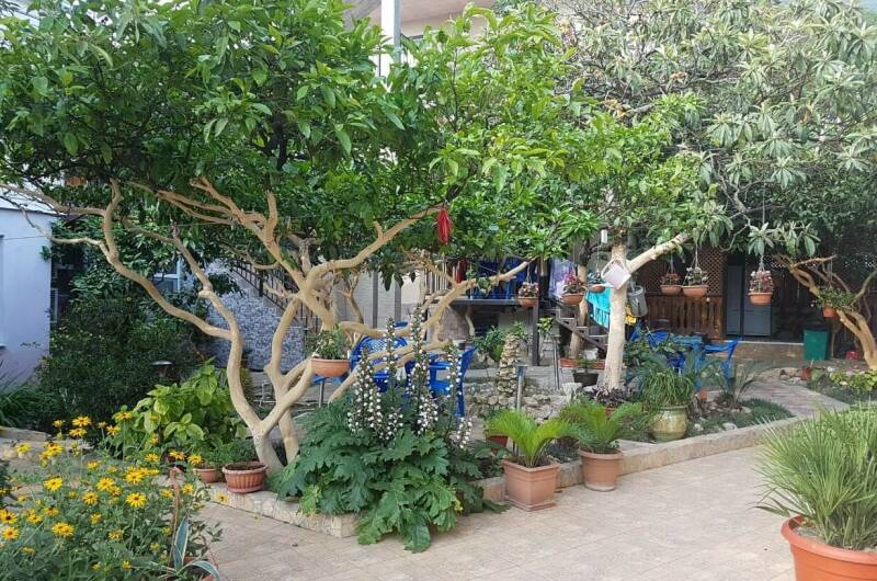 Изображение Изображение отеля / гостиницы "Гостевой дом «Уютный дворик»" #10 #8