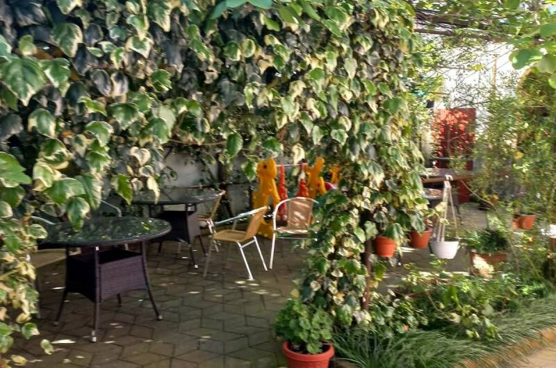 Изображение Изображение гостиницы "Гостевой дом «Бугенвиллия»" #2 #2