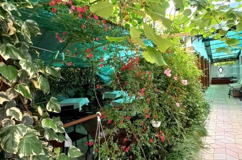 Изображение Изображение гостиницы "Гостевой дом «Бугенвиллия»" #7 #7