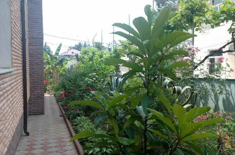 Изображение Изображение отеля / гостиницы "Гостевой дом «Бугенвиллия»" #10 #8