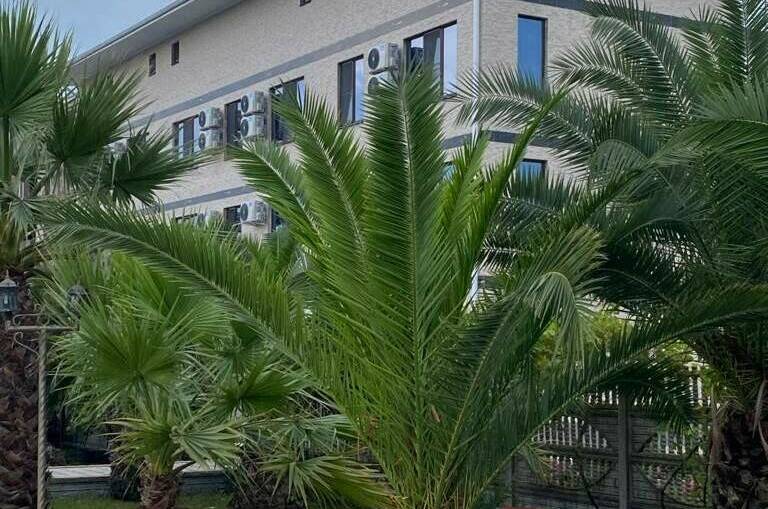 Изображение Изображение гостиницы &quot;Парк-отель «Галина»&quot; #4 #4