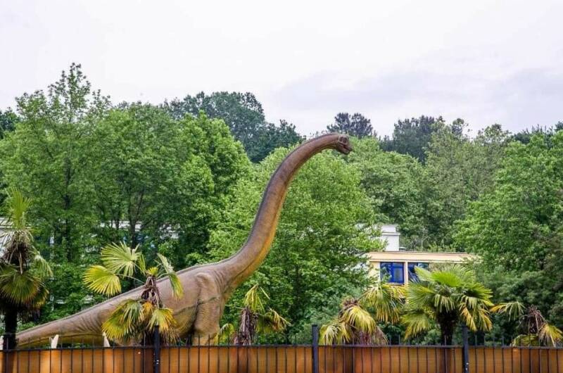 Изображение Изображение квартиры "Квартира у моря с балконом" #6 #6