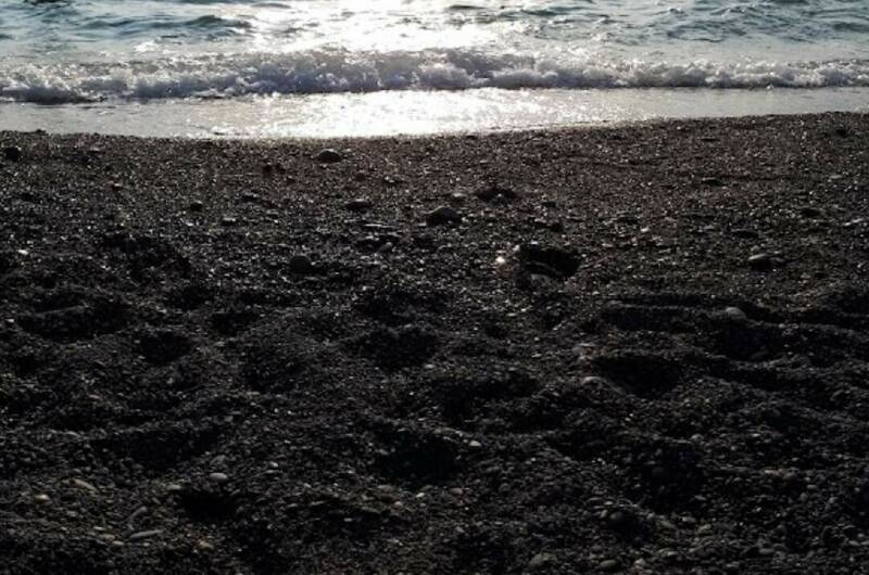 Изображение Изображение квартиры &quot;Большая квартира у пляжа «Альбатрос»&quot; #2 #2