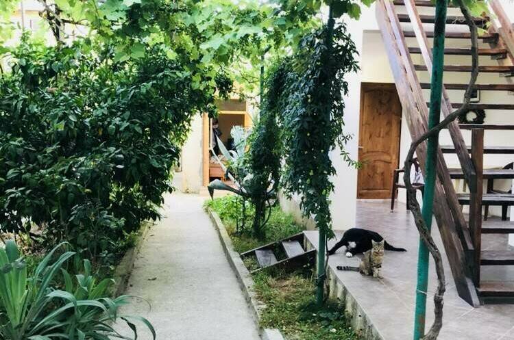 Изображение Изображение гостиницы "Гостевой дом на Ардзинба" #5 #5