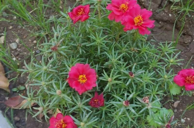 Изображение Изображение отеля / гостиницы "Гостевой дом на Адыгаа" #6 #6