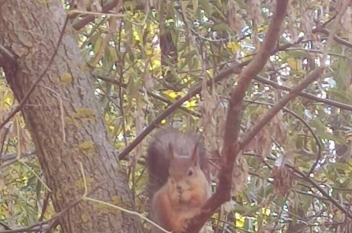 Изображение Изображение отеля / гостиницы "Гостевой дом на Адыгаа" #7 #7