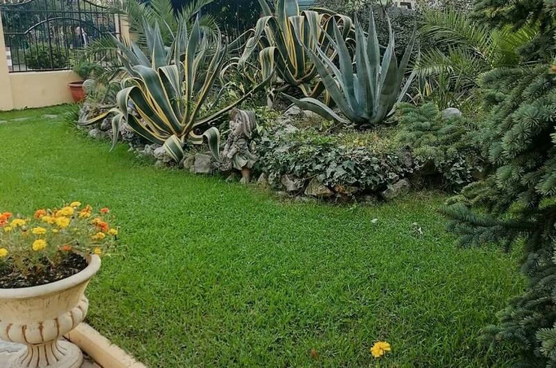 Изображение Изображение отеля / гостиницы "Гостиница «Орион»" #10 #8