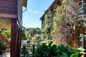 Изображение отеля / гостиницы "Гостевой дом «Алита»"